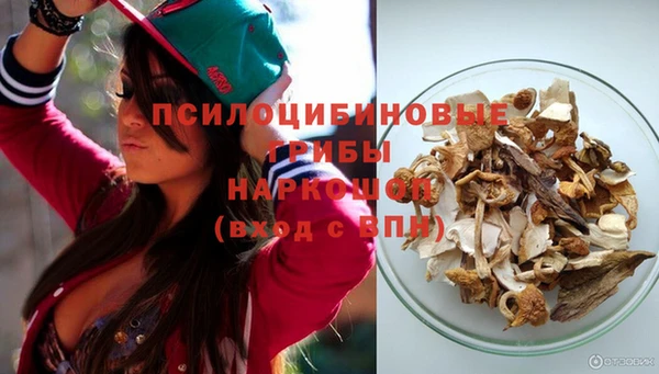 ГАЛЛЮЦИНОГЕННЫЕ ГРИБЫ Арсеньев