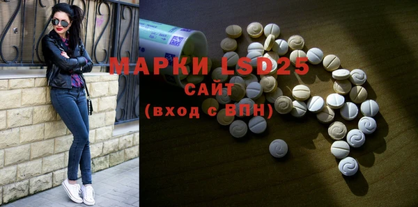 ГАЛЛЮЦИНОГЕННЫЕ ГРИБЫ Арсеньев