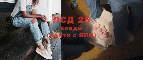 ГАЛЛЮЦИНОГЕННЫЕ ГРИБЫ Арсеньев