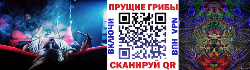 shop формула  Белая Холуница  Псилоцибиновые грибы Cubensis 