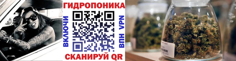 Конопля конопля  купить наркотики сайты  Белая Холуница 